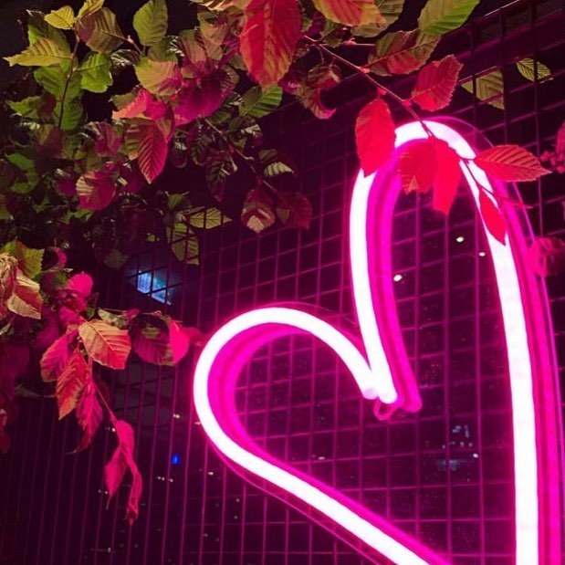 Pink LED neon heart shown on a shag rug with a puppy - from Custom Neon