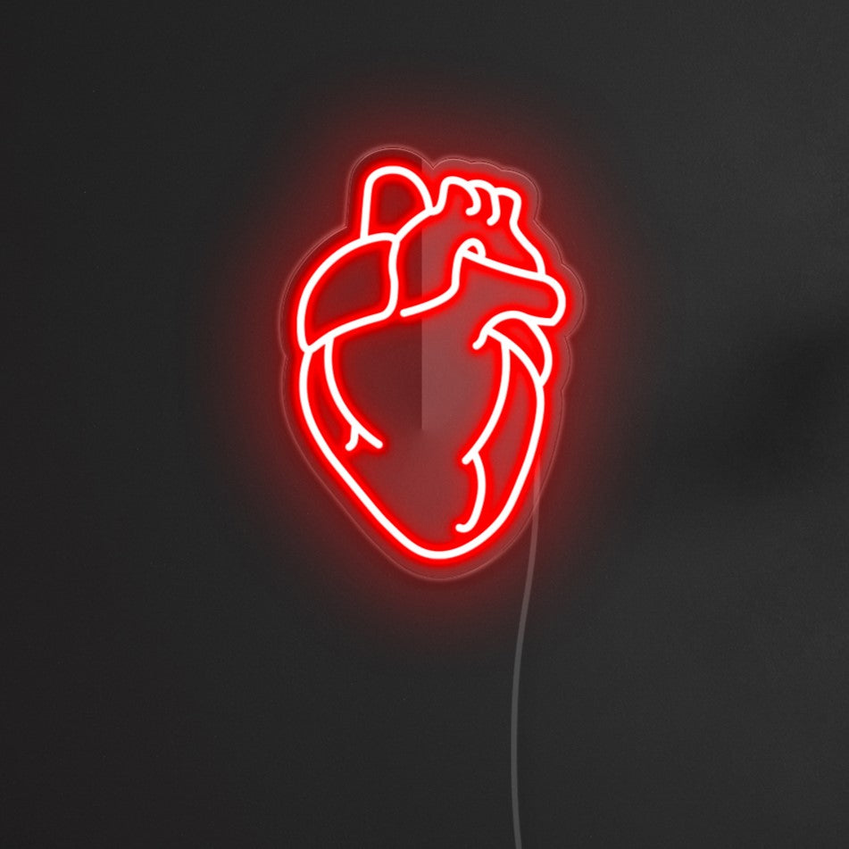 Anatomical Heart Light in red styled on dark wall - by Custom Neon®