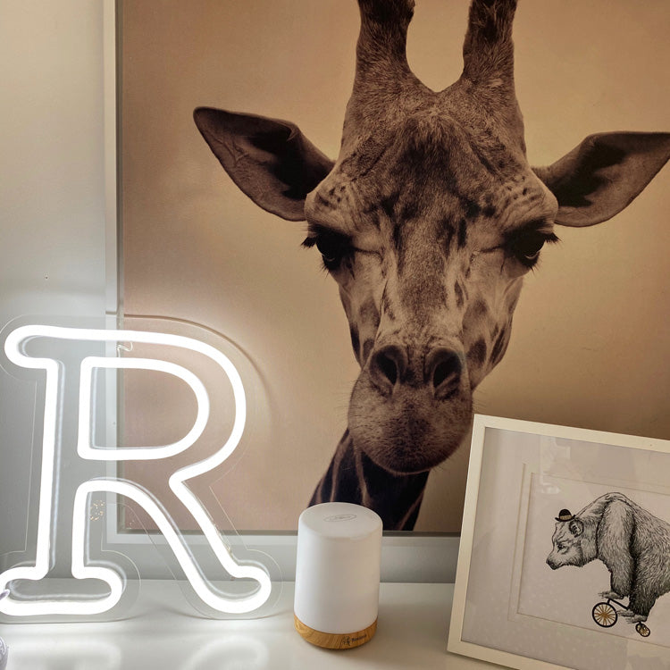 The Letter R in gorgeous LED Neon - and a friendly giraffe